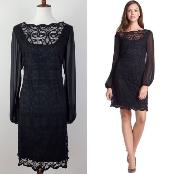 Adrianna Papell Dresses & Skirts - Adrianna Papell Lace Chiffon Scalloped Shift Dress